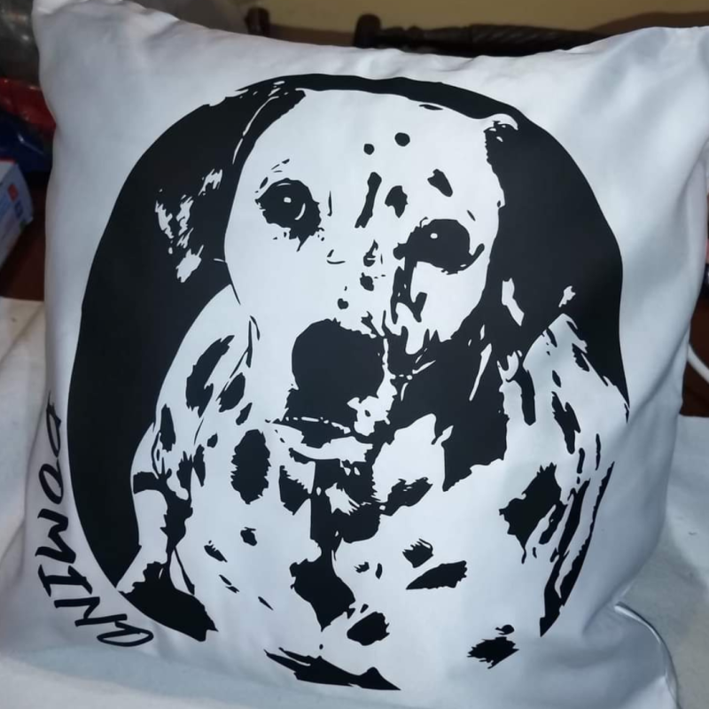 Personalised Cushions